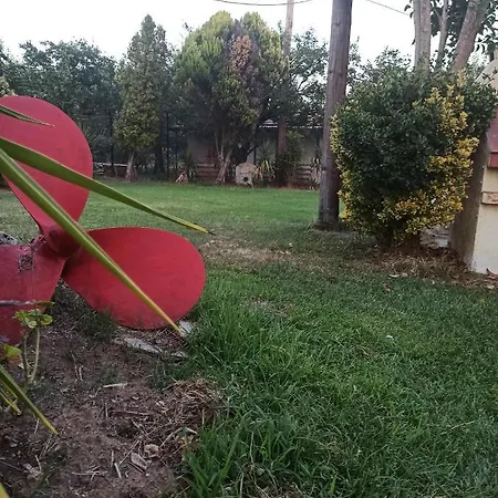 Fotini's Paradise Platanidia